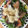 IZUMI2019's cooksnap of when they made 鮭のみぞれかけ.