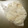 botu's cooksnap of when they made イカの冷凍保存・下ごしらえで簡単おかず♡.