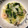 ばやし's cooksnap of when they made プリプリエビと白菜の中華塩炒め煮.