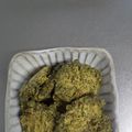 クックPSH9XB☆'s cooksnap of when they made 食べて痩せる！簡単★抹茶風おからクッキー.