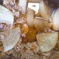 ごにょ's cooksnap of when they made 簡単おかず☆板こんにゃく入り豚バラ大根.