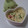 smilame's cooksnap of when they made お花見✿桜と空豆の　簡単茶碗蒸し✿.