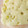 イスミ's cooksnap of when they made 簡単♪サツマイモのふわふわ蒸しパン.