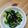 クックLB0KZO☆'s cooksnap of when they made 小松菜としらすの海苔ナムル♪.