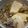 pokopapa's cooksnap of when they made 簡単☆肉豆腐.