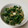 ちろのおやつ's cooksnap of when they made のらぼう菜のシーフード炒め.