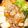 negoo's cooksnap of when they made プチッとキムチ鍋！〆はサッポロ一番.