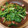 夜盗エメラルド's cooksnap of when they made 簡単！小松菜とベーコンのニンニク風味炒め.