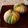 junajam399's cooksnap of when they made 和菓子★レンジで簡単！ねりきり手毬.