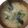 クックPW9C2T☆'s cooksnap of when they made キノコと大根の味噌汁.