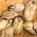☆ちぃ's cooksnap of when they made ふっくら美味しい＊牡蠣ご飯.