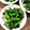 そらてんママ's cooksnap of when they made ほうれん草のごまあえ.