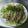 三つ星母ちゃん's cooksnap of when they made 豚バラの生姜焼き☆.