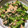 なつ♫'s cooksnap of when they made ツナとおいしい菜のぽん酢和え๑´ڡ`๑.