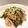 はらぺこしろうさぎ's cooksnap of when they made 簡単！茄子のピリ辛炒め☆とろとろコツあり.