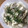moko22's cooksnap of when they made 白菜ととろろ昆布の和風サラダ.