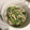 ♪＊♪＊'s cooksnap of when they made ほうれん草とえのきのゴマネーズ和え.