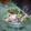 maripe50's cooksnap of when they made ささみとかいわれの梅肉和え.
