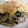クックV3BPQZ☆'s cooksnap of when they made 節約激ウマ！もやしと小松菜の半熟マヨたま.