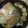 ゆめりの's cooksnap of when they made うまうま♪真鯛で＜潮汁（うしお）＞♪.