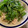 まっきー♪３７'s cooksnap of when they made パクチーが主役♪タイ風！？豚の冷しゃぶ.