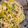 がぁる's cooksnap of when they made たくあんとお葱の和風クリームチーズパスタ.