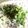 komasan♪'s cooksnap of when they made もずく豆乳湯豆腐.