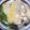 クックZJARNV☆'s cooksnap of when they made あったかレモンみぞれ鍋♪.