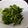 クックOEN6Y3☆'s cooksnap of when they made 勝山水菜の胡麻和え *簡単*シンプル*.