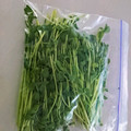 じう630's cooksnap of when they made 豆苗の冷凍保存.