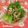 こたらパッド's cooksnap of when they made 納豆のレタス巻き♪.