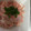 ma___111's cooksnap of when they made かにかまとちくわのめんたいマヨ和え.
