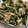 mioly's cooksnap of when they made ほうれん草と蒸し鶏の胡麻和え.