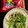Tintinmika's cooksnap of when they made 豆苗ともやしのナムル.