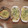 みまきんぐ's cooksnap of when they made 簡単☆餃子の皮でラザニア.