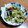 nemuchan's cooksnap of when they made ふきのとうの天ぷら.