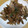クックURD7B2☆'s cooksnap of when they made 豚ばらとごぼうの炒り煮.