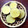 horseland's cooksnap of when they made 圧力鍋。簡単。蒸しさつまいも.