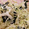 まーやん☆☆'s cooksnap of when they made 海苔めんつゆキャベツサラダ.