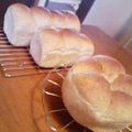 コーヒーたん's cooksnap of when they made ベンチタイム不要！ふんわり胚芽食パン.