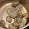 ヨシヨッシー's cooksnap of when they made あさりの塩抜き.