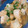 きらきらきららん's cooksnap of when they made 鶏のみぞれ煮.