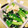 はるシェフ's cooksnap of when they made 簡単✿小松菜とわかめの白和え✿.