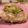 Pericom's cooksnap of when they made ご飯に合う合う❗ネギ塩豚☆.