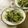 ももんじゃー's cooksnap of when they made 水菜のお浸し.
