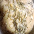 しろつぶ's cooksnap of when they made さっぱり美味しいもずく雑炊.
