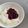 Aokokko♩'s cooksnap of when they made ジャムで簡単！ブルーベリーヨーグルト.