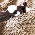 RICOoking's cooksnap of when they made バレンタイン＊生チョコブラックサンダー風.