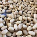 Ｏｓｓａｎ's cooksnap of when they made ふっくらカリカリ 煎り大豆.
