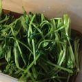 うずらのこ's cooksnap of when they made 豆苗ＤＥ麺つゆ常備菜☆.